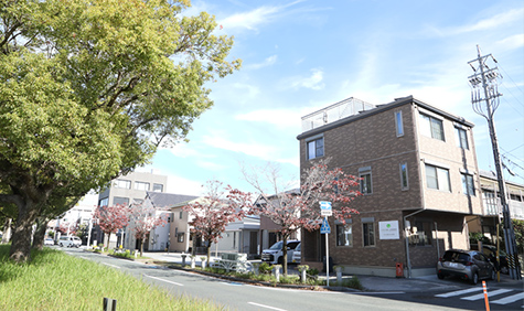 くすの木通り法律事務所