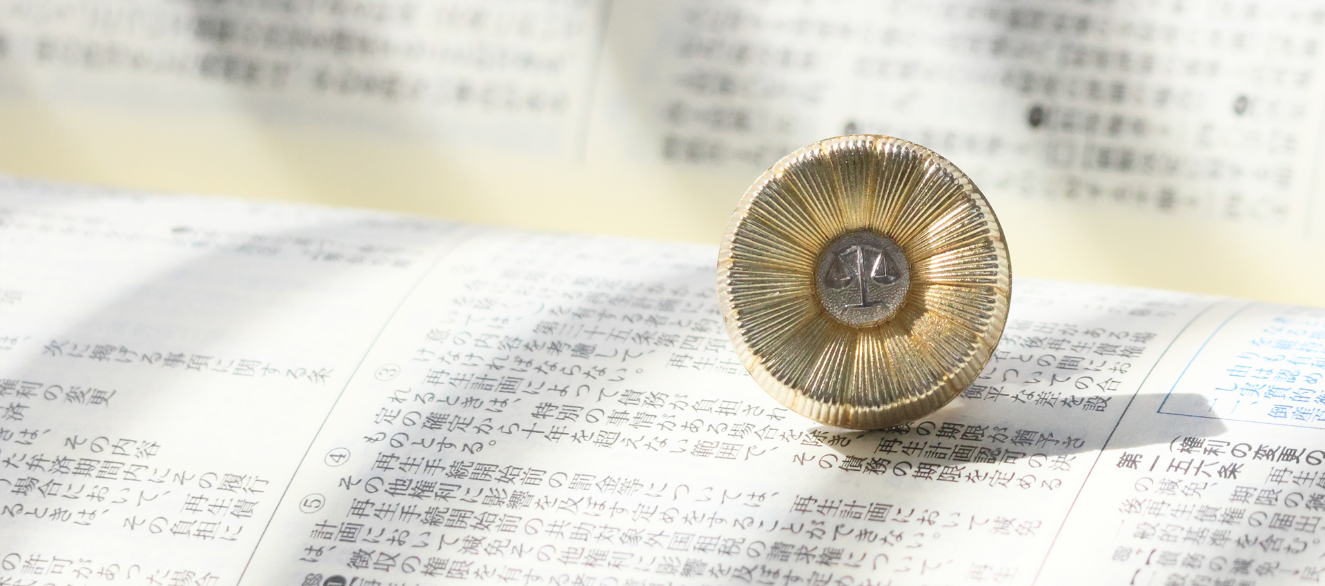 くすの木通り法律事務所