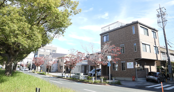 くすの木通り法律事務所